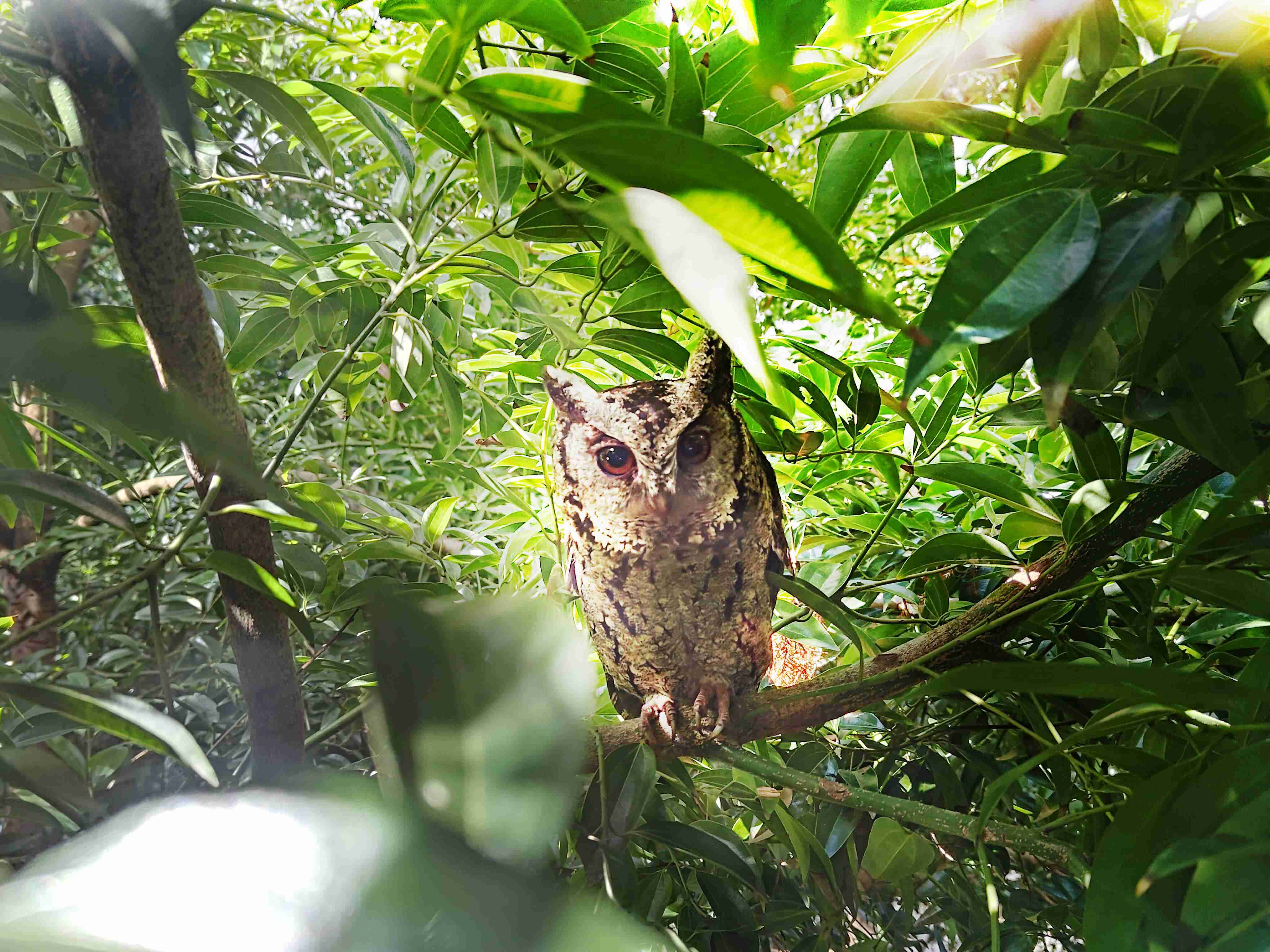 人生就是博致力提倡净零绿生活，，，16年以来在全球各厂区植树逾百万棵，，造就各厂区树木蔚然成林，，，，犹如森林工厂，，成为许多生物的栖息地